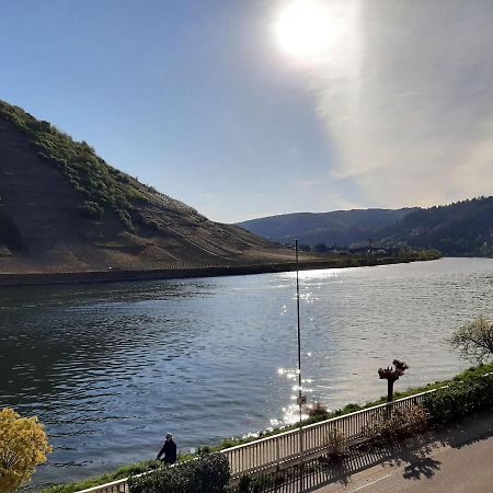 Mosel-Landhaus B&B Briedern Buitenkant foto