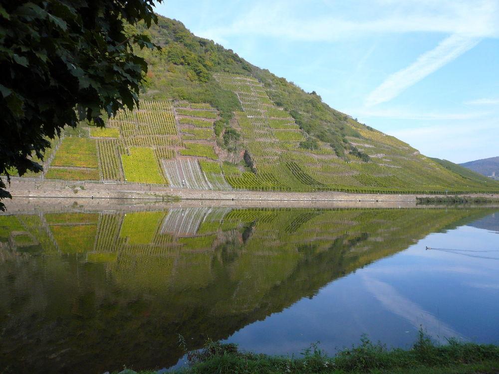 Mosel-Landhaus B&B Briedern Buitenkant foto