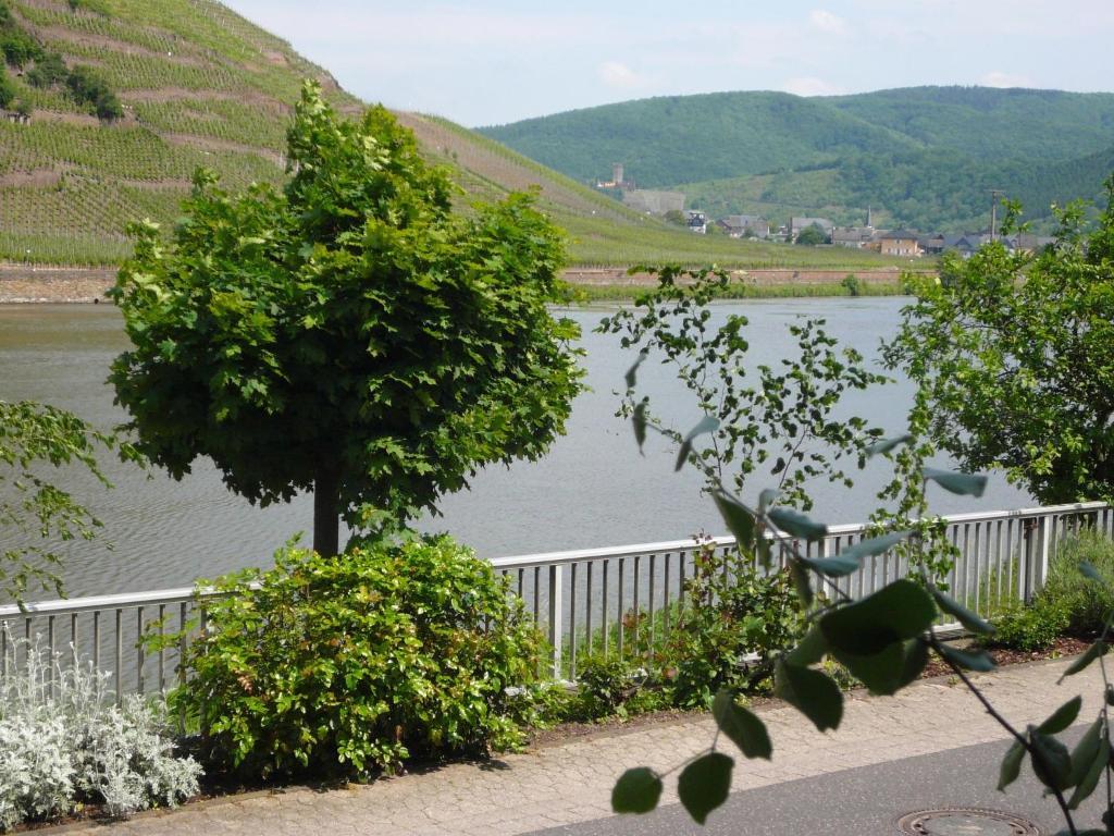 Mosel-Landhaus B&B Briedern Buitenkant foto