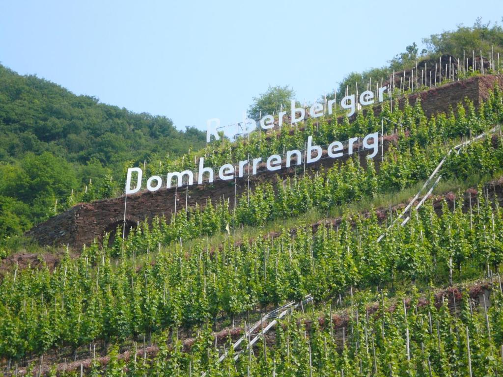 Mosel-Landhaus B&B Briedern Buitenkant foto